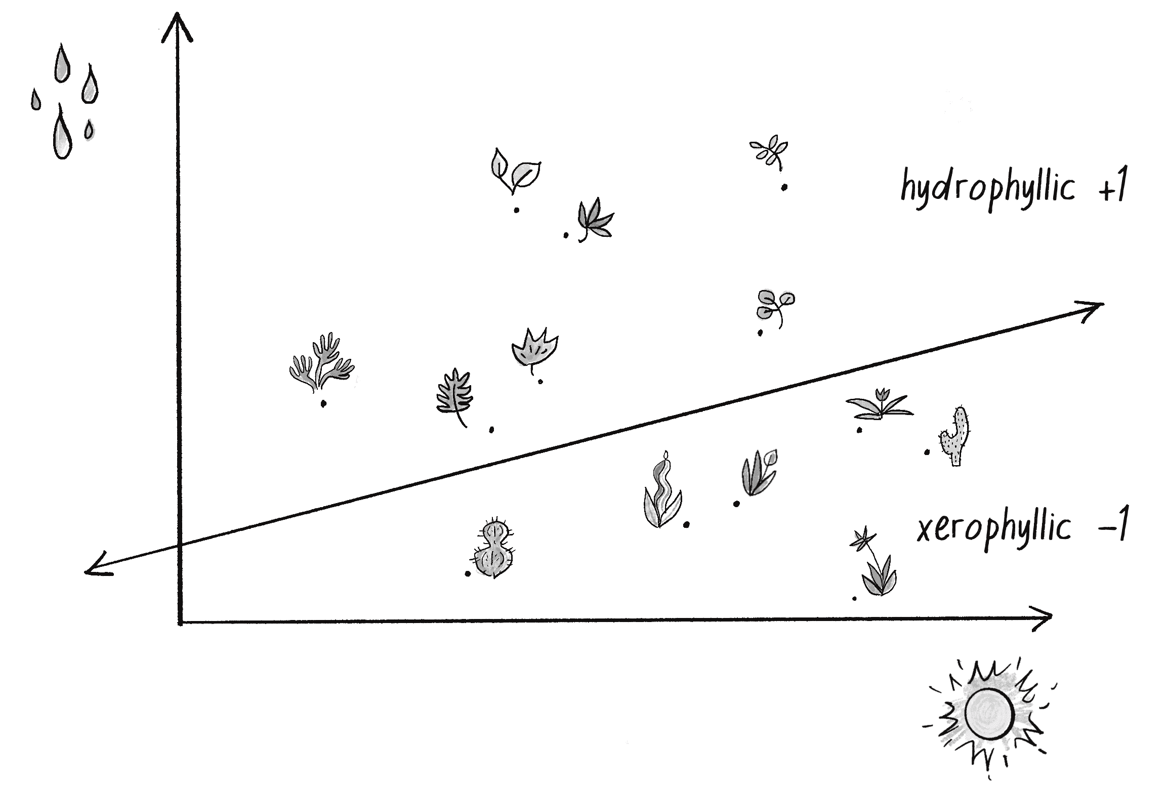 Figure 10.4: A collection of points in 2D space divided by a line, representing plant categories according to their water and sunlight intake 