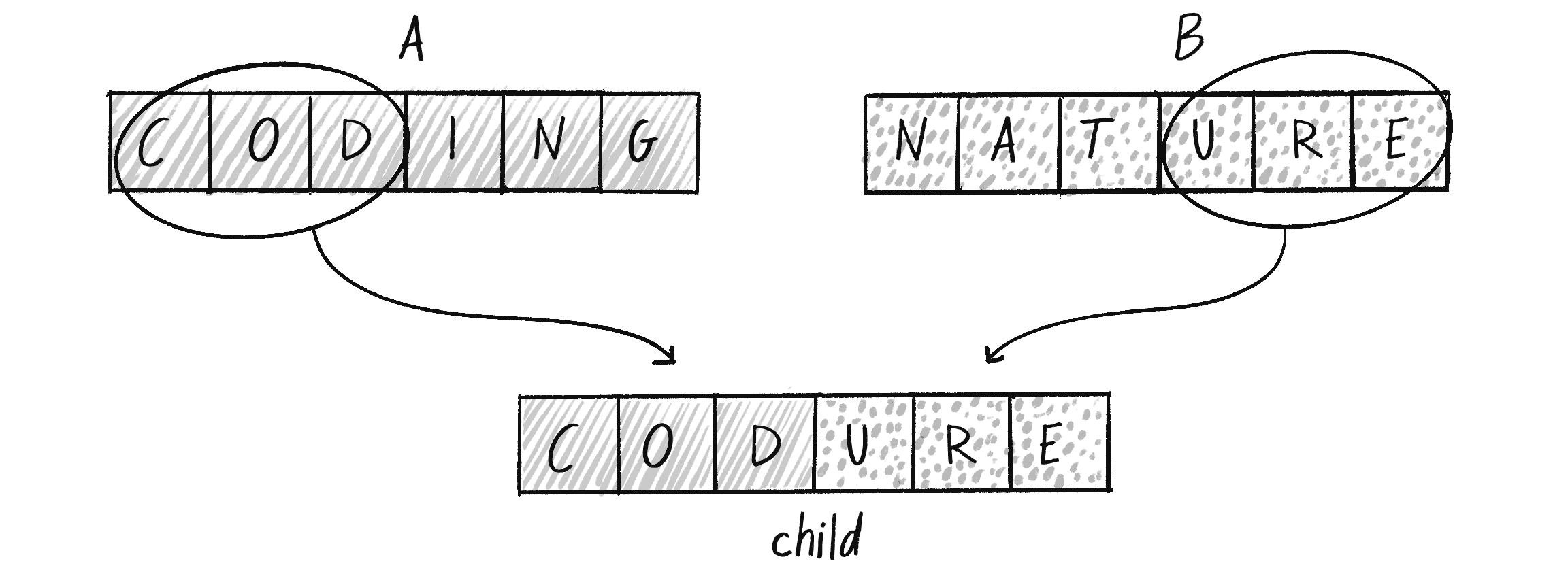 Figure 9.3: A 50/50 crossover